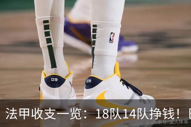 法甲收支一览：18队14队挣钱！巴黎收入3.34亿 升班马勒芒0买0卖